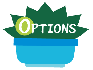 Options: Identify options and make choices.