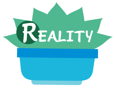 Reality: Identify what is happening.