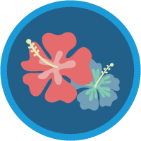 badge icon