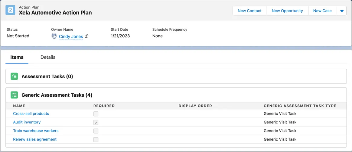 Screen capture of the Items tab in an Action Plan showing associated generic assessment tasks.