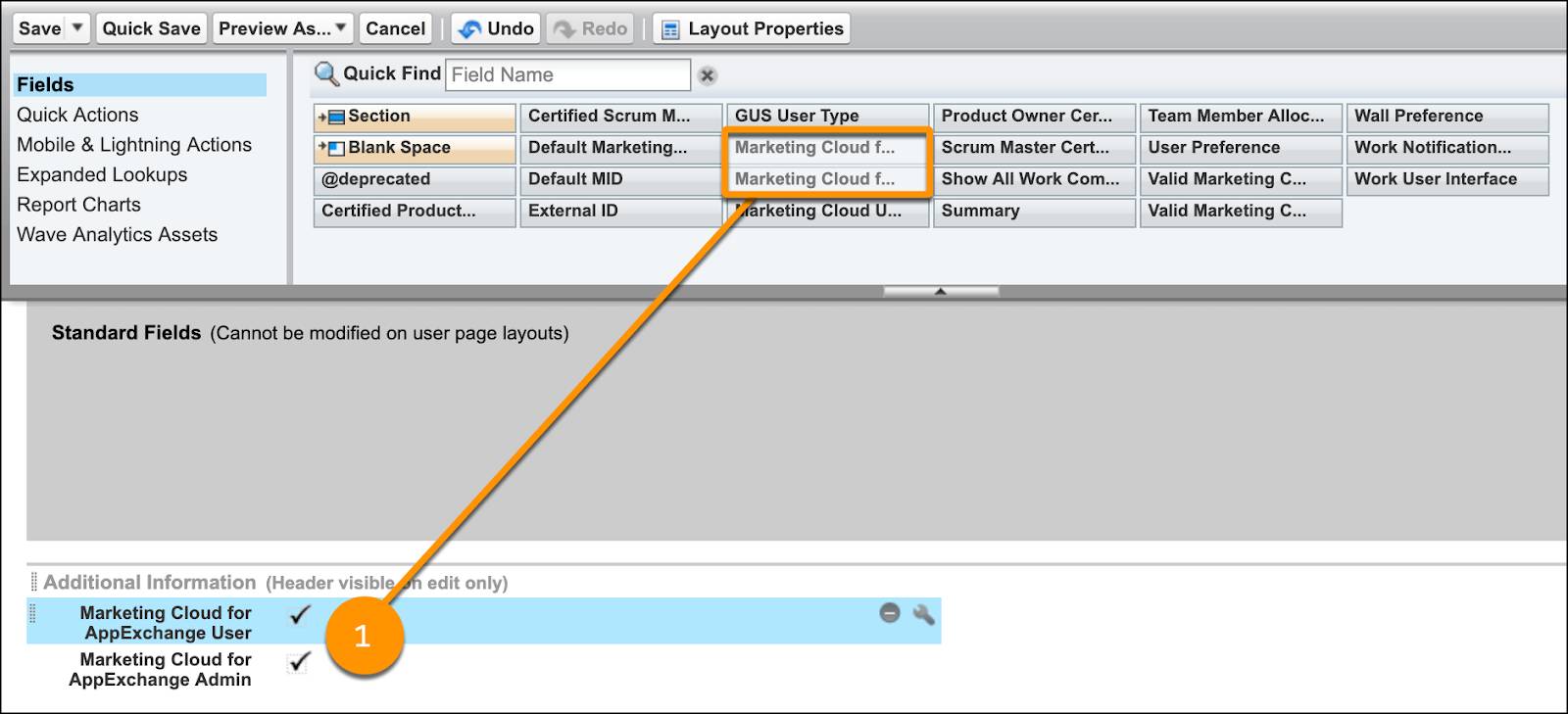 User layout screen with fields Marketing Cloud Engagement for AppExchange User and AppExchange Admin added to the Additional Information section.