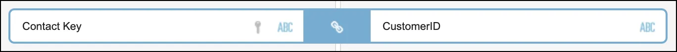 Customer ID text attribute connected to CustomerID text attribute with key icon