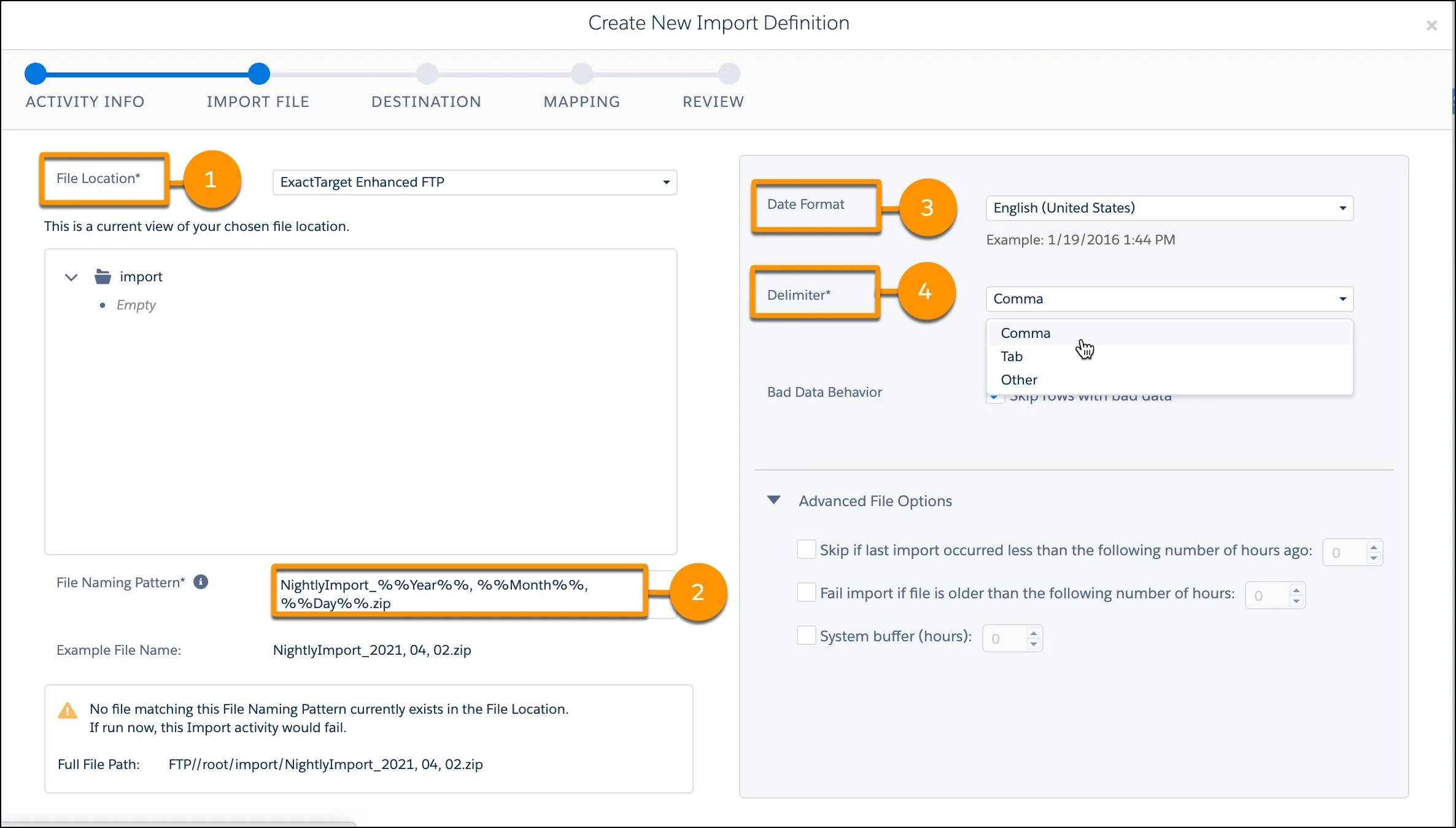 Import Definition with callouts for file location, naming pattern, date format, and delimiter.