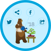 badge icon