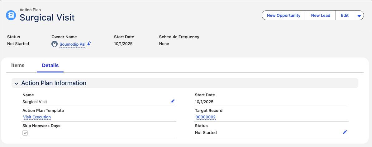 An Action Plan record showing the association of an action plan template and a visit record.