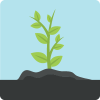 A fully mature plant that represents the Mobile SDK