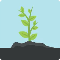 A fully mature plant that represents the Mobile SDK