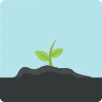 A sprouting plant that represents the Salesforce app