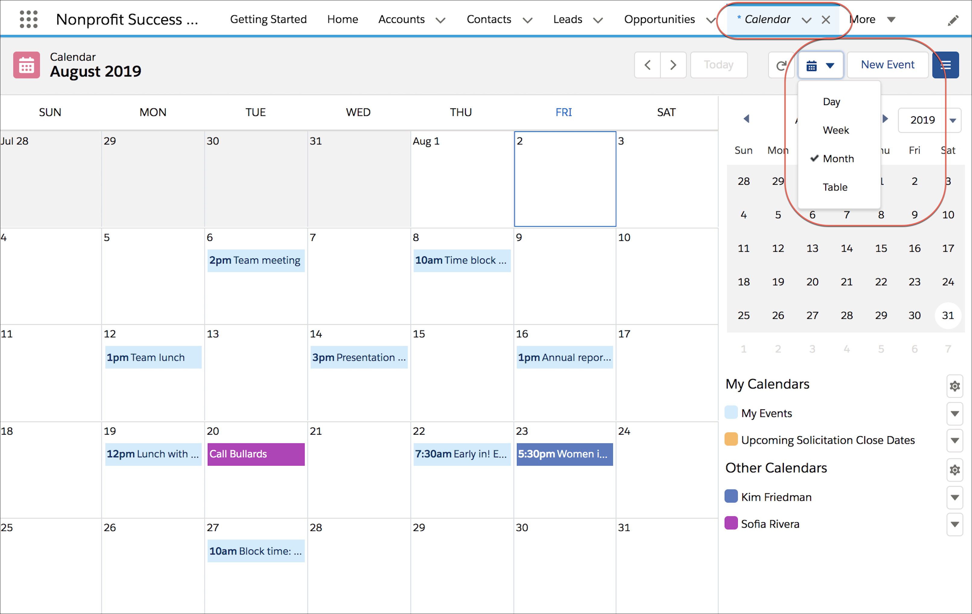 salesforce calendar set icon