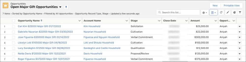 Opportunities in the list view