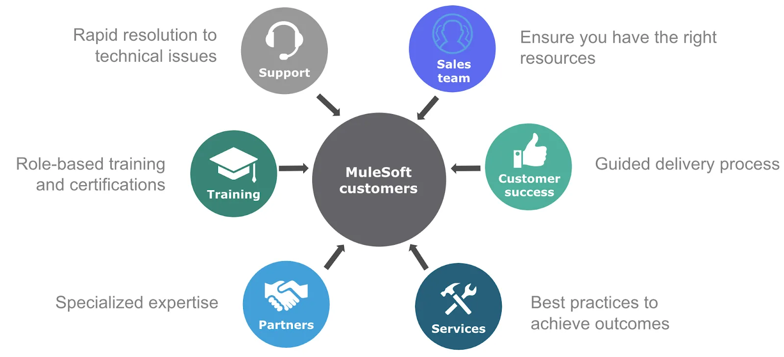 Catalyst ecosystem of Support, Training, Sales team, Customer Success, Services, and Partners