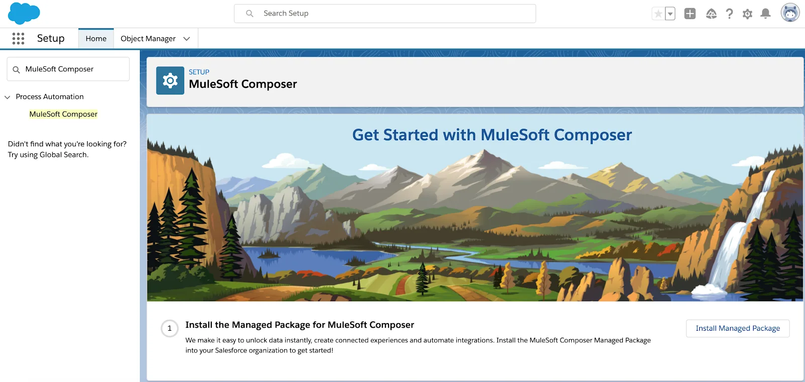 山、川、滝が表示された MuleSoft Composer の [設定] ページ。