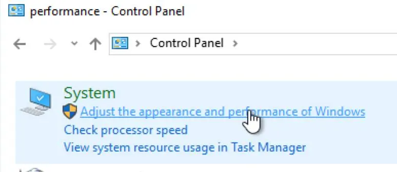 Windows Control Panel showing Adjust the appearance and performance of Windows options.