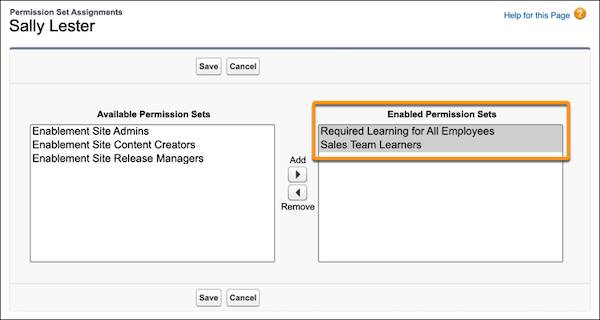 The permission set assignments for a Sales team user, showing the Sales Team Learners and Required Learning for All Employees permission sets enabled.