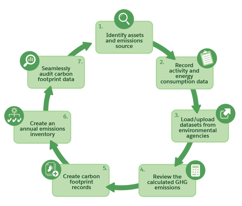 A cyclic process flow diagram showing all of the stages of the carbon accounting process.