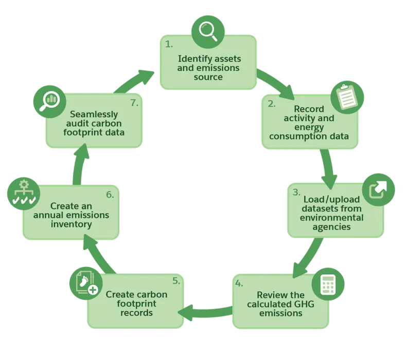 A cyclic process flow diagram showing all of the stages of the carbon accounting process.