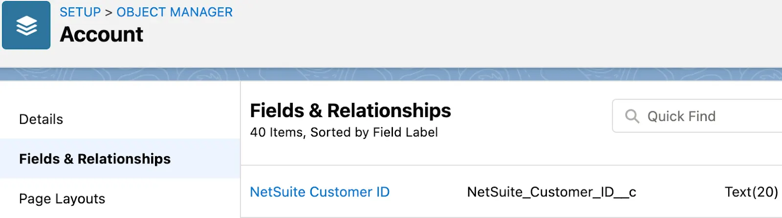 Account object with custom field NetSuite Customer ID.