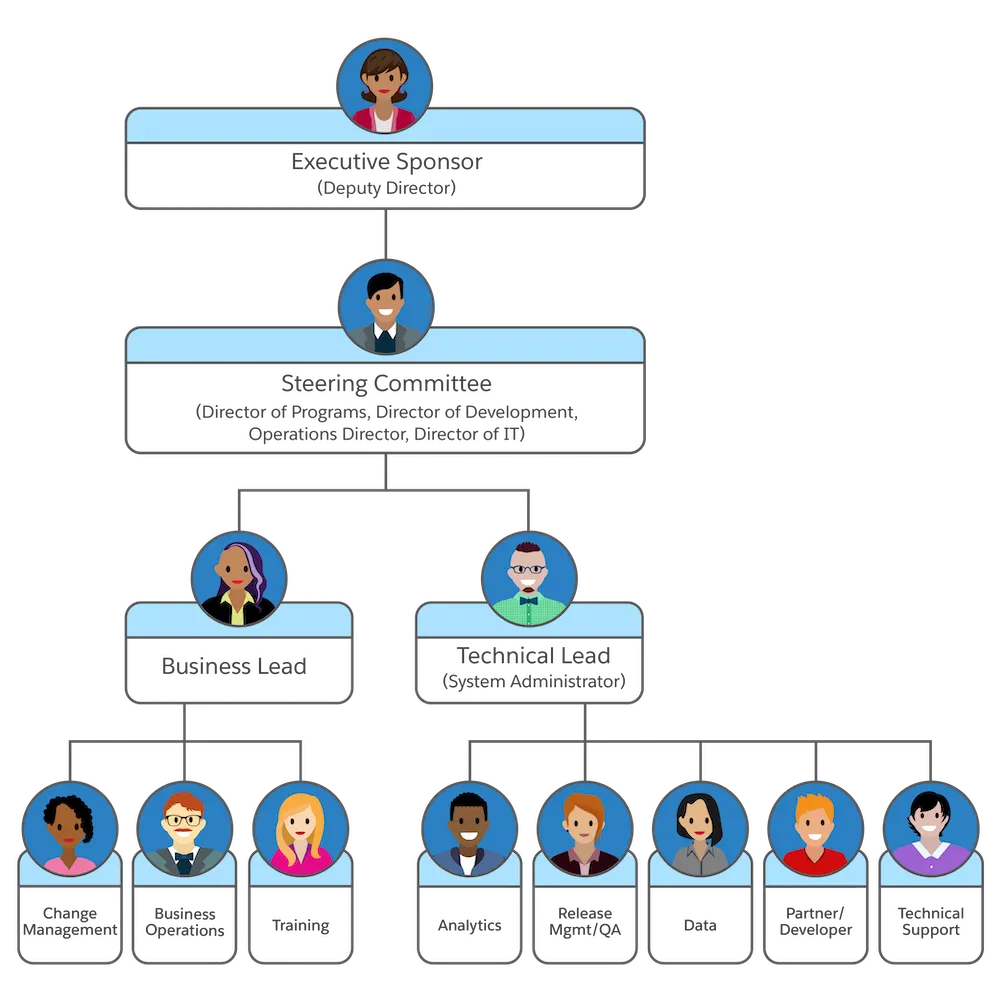 NMH operating model with an Executive Sponsor directing the Steering Committee, which includes Directors of Programs, Development, Operations, and IT