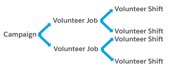 Volunteer management structure