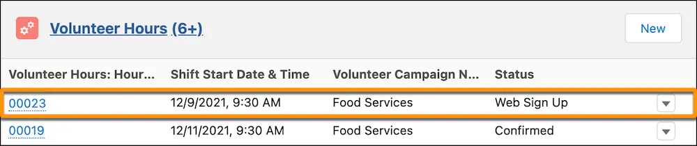 The Volunteer Hours related list on a contact record