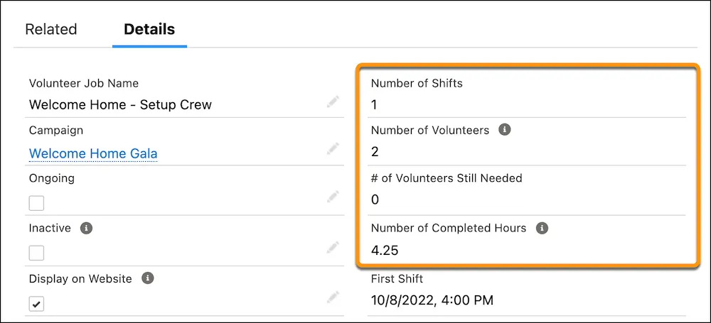 Os campos de turno, voluntário e horas em um registro de trabalho voluntário