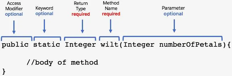  public static Integer wilt(Integer numberOfPetals){ //body of method }