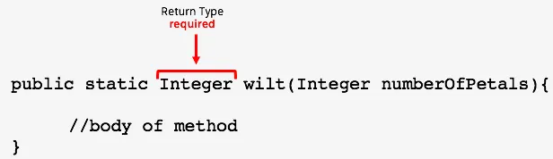 public static Integer wilt (Integer numberOfPetals){ //body of method} 