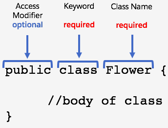 public class Flower { //body of class }