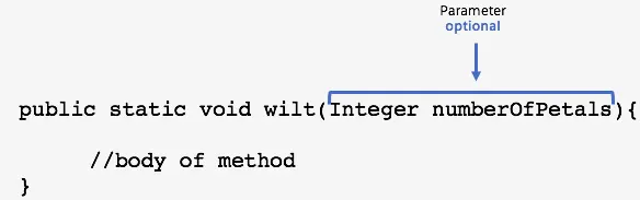 <p>public static void wilt (Integer numberOfPetals){</p><p> //body of method</p><p>}</p>