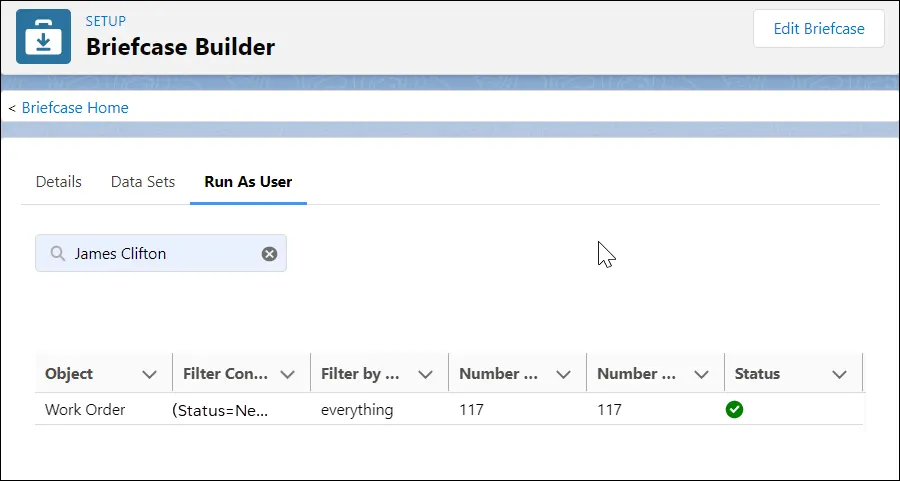 James Clifton に対して 117 件のレコードが取得されたことを示している Briefcase Builder。