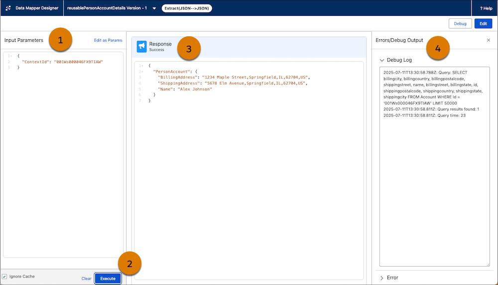 Preview mode of the Data Mapper shown in the previous screenshot.