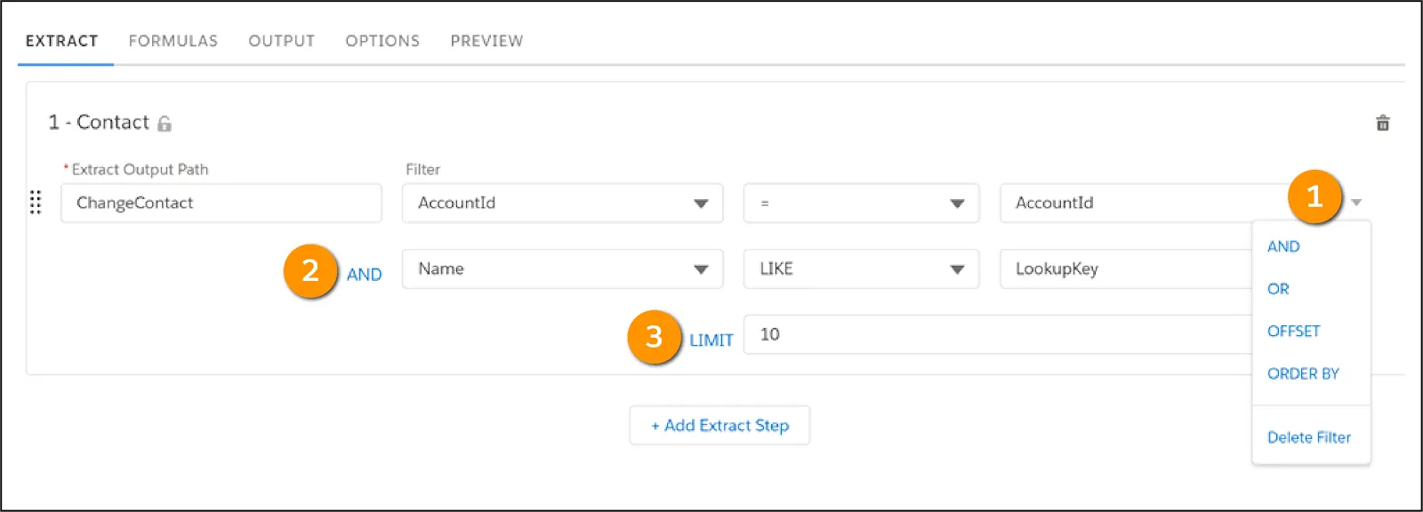 Add Name Like LookupKey and Limit 10 Results Filters to the Extract tab