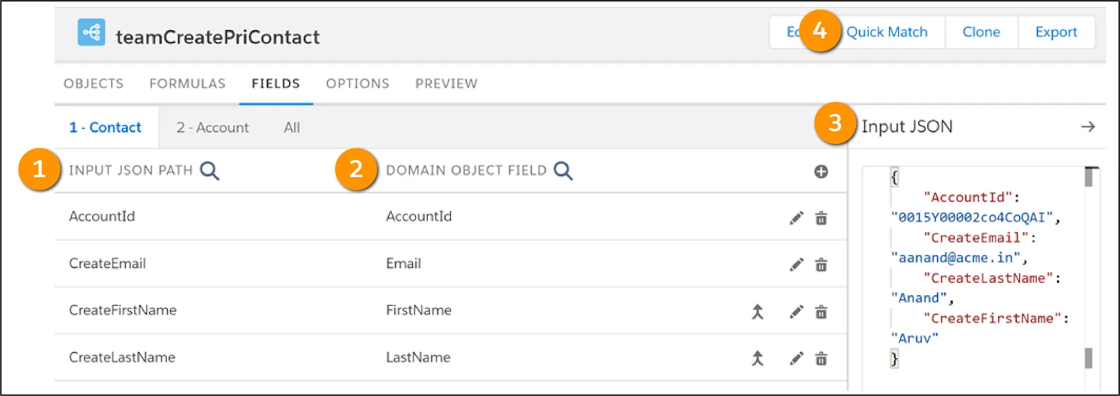 Input JSON Path and Domain Object Field mappings in the Fields tab