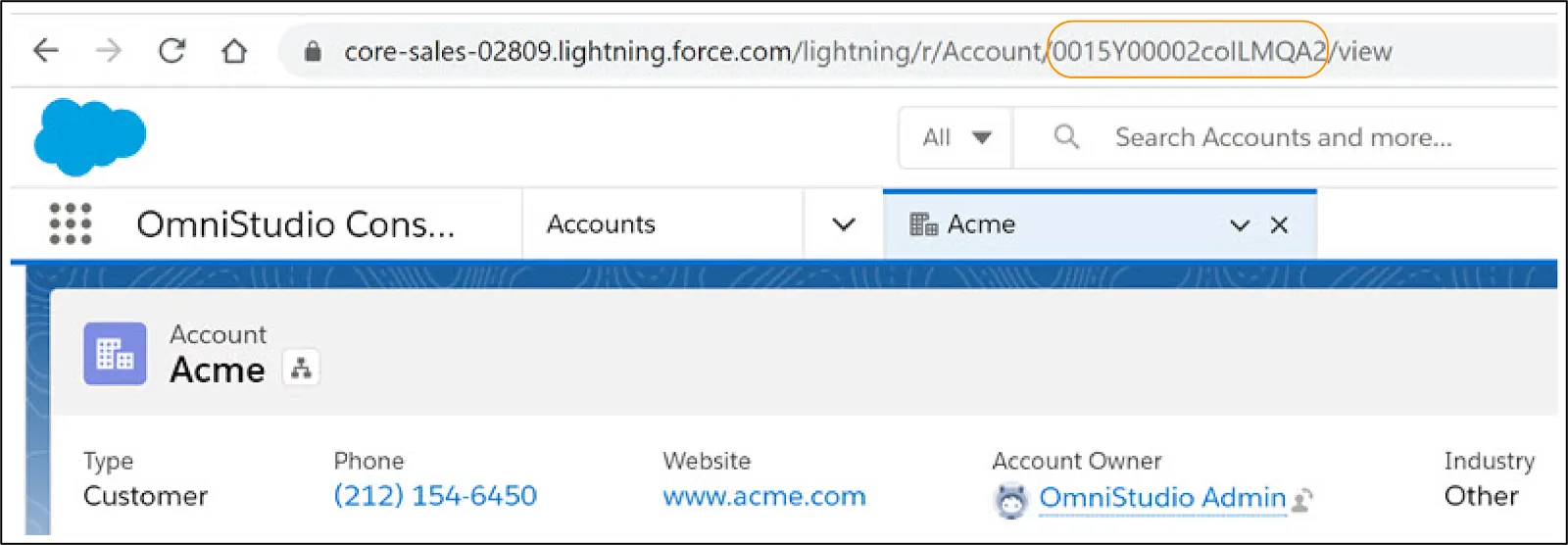 URL の Account/ と /view の間に取引先の RecordId が表示される