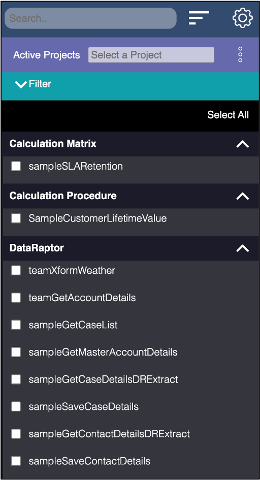 組織に正常に接続された OmniStudio Project Explorer