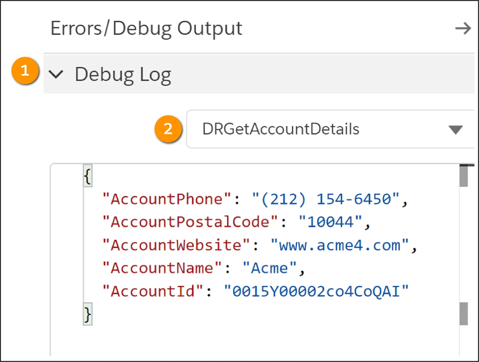 Debug Log (デバッグログ) には Integration Procedure と Data Mapper データが接続されていることを確認するデータが表示される。