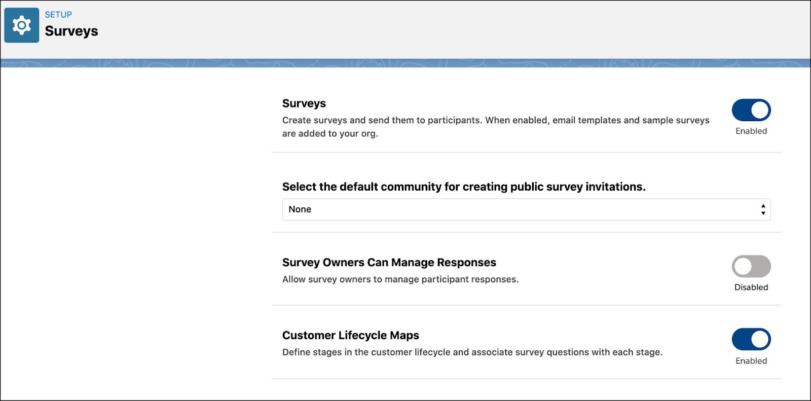 The Survey setup window showing the settings.
