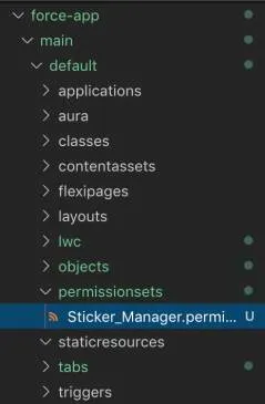 View of new permission set in force-app directory.