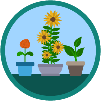 badge icon