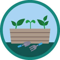badge icon