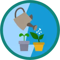 badge icon