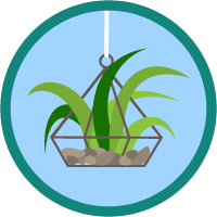 badge icon