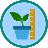 badge icon