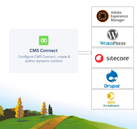 CMS Connect を使用すると、選択した CMS (Adobe Experience Manager、WordPress、Sitecore、Drupal、SDL Tridion など) でコンテンツを作成できます。