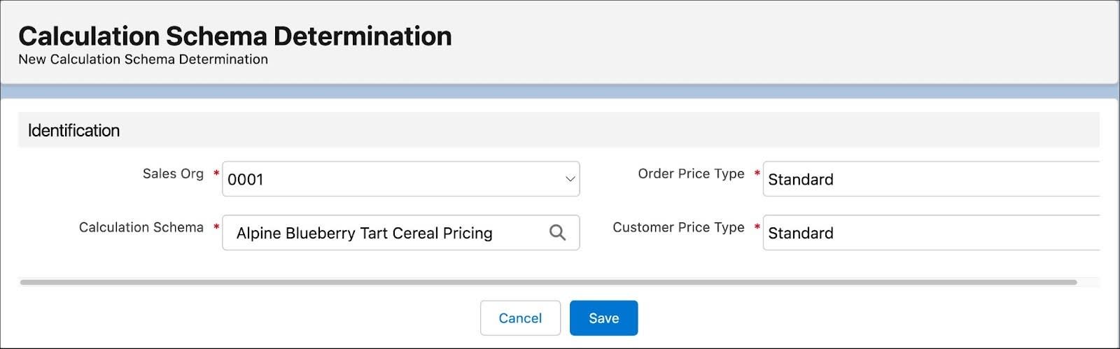 The New Calculation Schema Determination page showing the options to create a calculation schema determination.