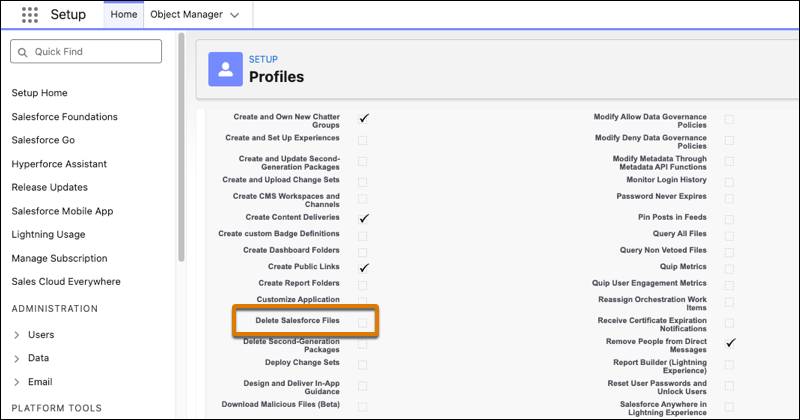 Salesforce ファイルを削除するオプションのボックスが強調表示されている [Setup (設定)] インターフェース。