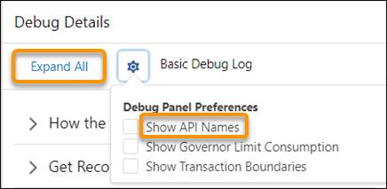 Debug details showing menu option Show API Names
