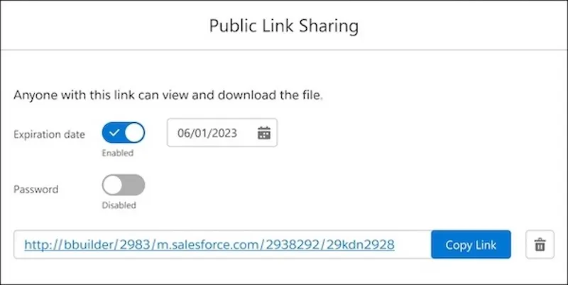 Public Link Sharing Dialog with expiration date enabled.