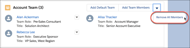 Account team page with Remove All Members button highlighted.