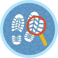 Search Solution Basics badge